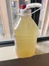 浙一家 荔枝米酒2.5L 6度 微醺果酒糯米酒甜酒花果酒 湖州老字号 晒单实拍图
