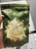 babycare【安全灭菌】山茶花一次性内裤女士孕产妇免洗内裤L码1条 实拍图