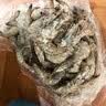 三只海豚 国产青岛大虾 特大号白虾 20/30规格 净重3斤盒装 活虾速冻虾类 实拍图