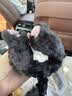 威尔通（WELTSTON）小猫咪玩偶猫咪挂件德文猫玩具毛绒玩偶抱枕送女孩生日礼物女生士 实拍图