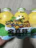 金豆芽儿童金银花柚子汁155ml*16瓶便携孩子饮料宝宝果汁西柚汁 实拍图