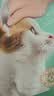 领先成猫尝鲜礼包主食级烘焙猫粮猫条餐盒汤包（新老款随机发货） 实拍图