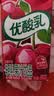 伊利【时代少年团同款】优酸乳车厘子味250ml*24盒 中秋礼品礼盒装 实拍图