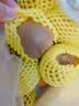 佳沛（zespri）新西兰金奇异果4粒103-114g猕猴桃源头直发中秋节礼品送水果礼盒 实拍图