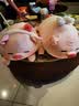 名创优品（MINISO）小猪B-BO草莓猪玩偶毛绒公仔娃娃抱枕靠枕女孩生日礼物玩具送闺蜜 实拍图