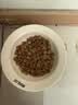海洋之星 低温烘焙猫粮真鲜肉幼猫成猫粮500g（九珍草莓鸡肉配方） 实拍图