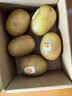佳沛（zespri）新西兰金奇异果猕猴桃 5粒装 单果约88-103g 水果源头直发 实拍图