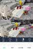 奥克斯1600万像素摄像头监控无线wifi网络高清夜视监控器360度无死角带夜视全景云台家用AI监控手机远程 实拍图