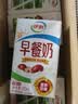 伊利早餐奶 新疆红枣250ml*16盒*1箱 礼盒装  实拍图