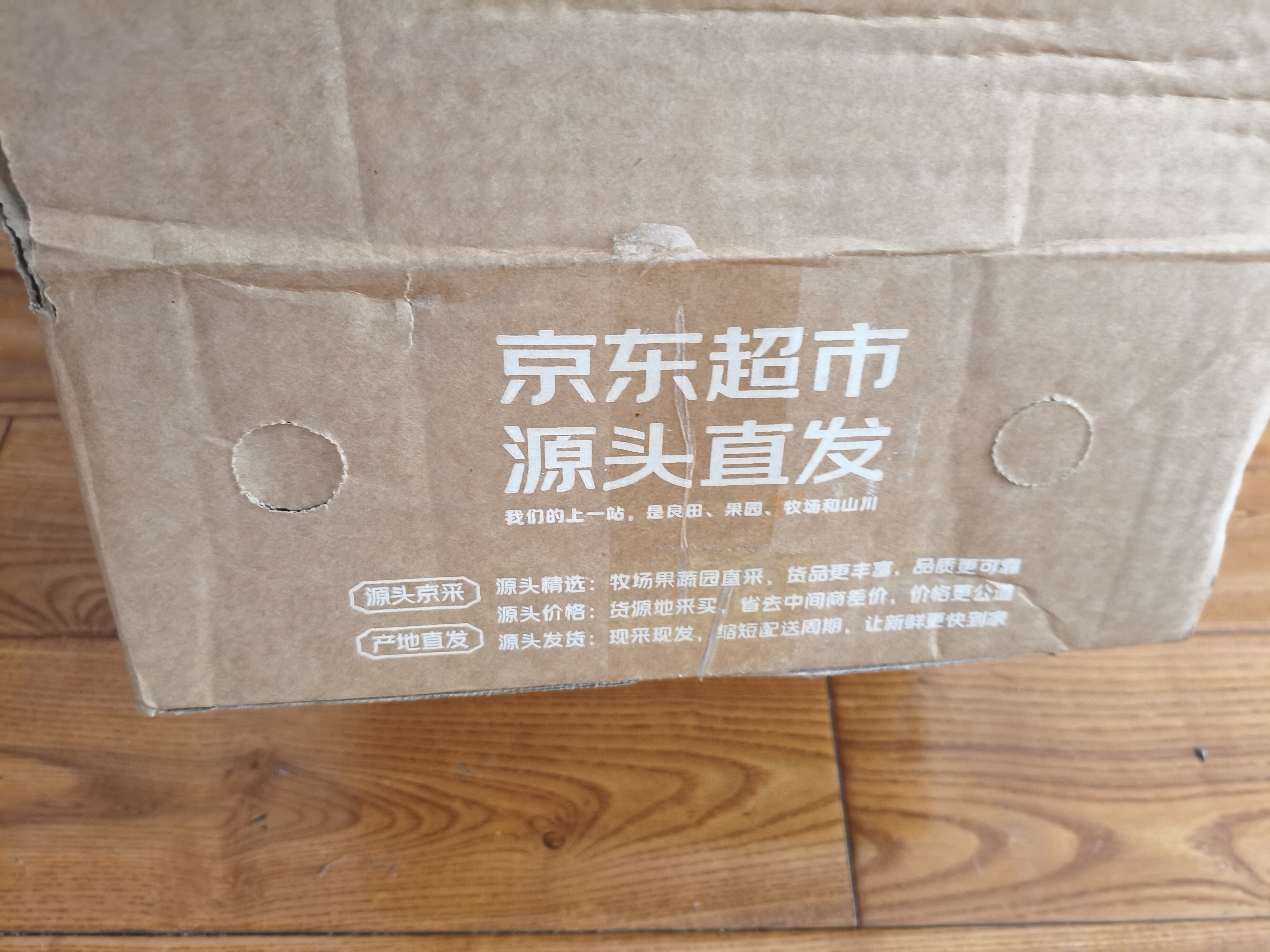 京鲜生安徽砀山青皮青翠蜜梨净重4.5斤单果200-250g+新鲜水果 源头直发 实拍图