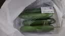 【水果菜】荷兰水果黄瓜约400g 实拍图