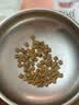 领先鲜鸡肉羊奶幼猫成猫全价烘焙猫粮50g试吃装（新老款随机发） 实拍图