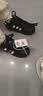 阿迪达斯（adidas）Superstar 2贝壳头三叶草经典女款运动板鞋JH9977黑色 38 实拍图