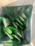 伊利全脂甜奶粉 成人奶粉 营养早餐生牛乳高钙高蛋白 便携装16条 400g 实拍图