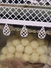 森森（SUNSUN）鱼缸过滤材料细菌屋玻璃环生化球麦饭石水族滤材过滤用品 升级版细菌球500g【贈水质安定剂胶囊】 实拍图