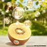 佳沛（zespri）新西兰金奇异果18粒优选果103-124g猕猴桃中秋节礼品送水果礼盒 实拍图