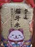 稻可道 猫牙米 长粒米 大米 籼米 丝苗米 10斤  实拍图