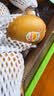 佳沛（zespri）新西兰 金奇异果特大果15粒134-146g猕猴桃水果礼盒 实拍图