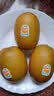 佳沛（zespri）新西兰金奇异果22粒巨大原箱146-175g猕猴桃中秋节礼品送水果礼盒 实拍图