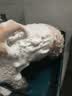 雪貂留香狗狗沐浴露宠物猫咪香波泰迪比熊清洁驱虫除虫止痒浴液 抑菌驱螨 实拍图
