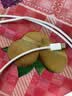 绿联20W充电头MFi认证适用苹果充电器氮化镓快充iPhone14/13/12/11promax手机iPadType-C+数据线套装 实拍图