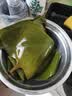 湾琴河 盐渍海带头500g 新鲜昆布片 凉拌菜煲汤火锅食材 海鲜干货 实拍图