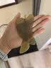 云南本草牛角刮痧板刮脸板经络刷拨筋棒颈背腿部按摩面部提拉美容神器礼物 实拍图