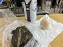 蒙牛特仑苏脱脂纯牛奶250ml*16盒 3.6g蛋白 健身减脂 送礼礼盒 实拍图