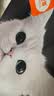 卫加全价猫粮20斤装 成猫猫咪主粮通用型10kg 实拍图