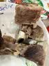 目无全牛原切草原真四肋黄膘牛排骨 净重2斤 肋排炖煮烧烤冷冻牛肉 实拍图