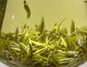徽六绿茶黄山毛峰茶叶70g 2026新茶寻味1200特级一等明前头采自己喝 实拍图