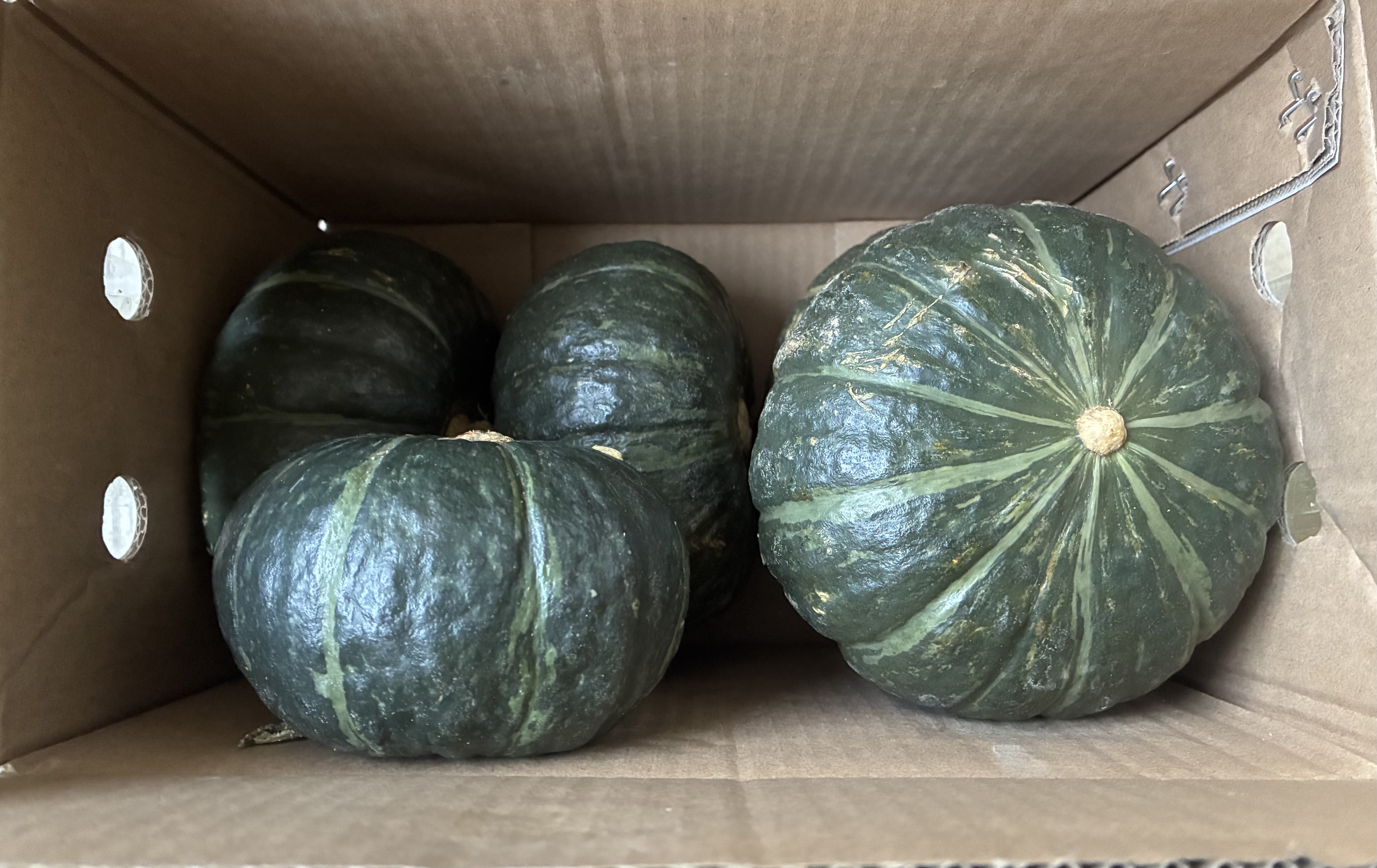 京地达山东正宗金贝贝南瓜 净重4.5斤 单果200g+ 粉糯香甜 源头直发包邮 实拍图