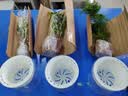 绿有意绿植盆栽多肉花卉盆栽植物室内桌面水培绿植办公室客厅植物懒人 聚财3盆】文竹+富贵竹+发财树 实拍图