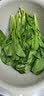 【24小时菜】菠菜苗250g(长度≤20cm) 实拍图