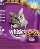 伟嘉猫粮老年猫粮老龄猫1.3kg海洋鱼味夹心粮全价粮 实拍图