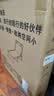 甄严选折叠床单人午休床折叠躺椅家用办公室午睡床简易行军床医院陪护床 圆管沉稳黑178*56【店长推荐】 实拍图