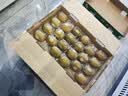 佳沛（zespri）新西兰金奇异果10粒巨大果146-175g猕猴桃水果礼盒 实拍图