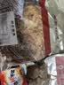郑庄脂渣青岛脂渣五花肉脂渣条猪肉干酥脆哨猪肉渣猪油渣青岛特产零食 郑庄招牌~ 酥脆精肉条500g【保质期15天/现做现发】 原味鲜香（无淀粉无糖  坚守行业高品质） 实拍图