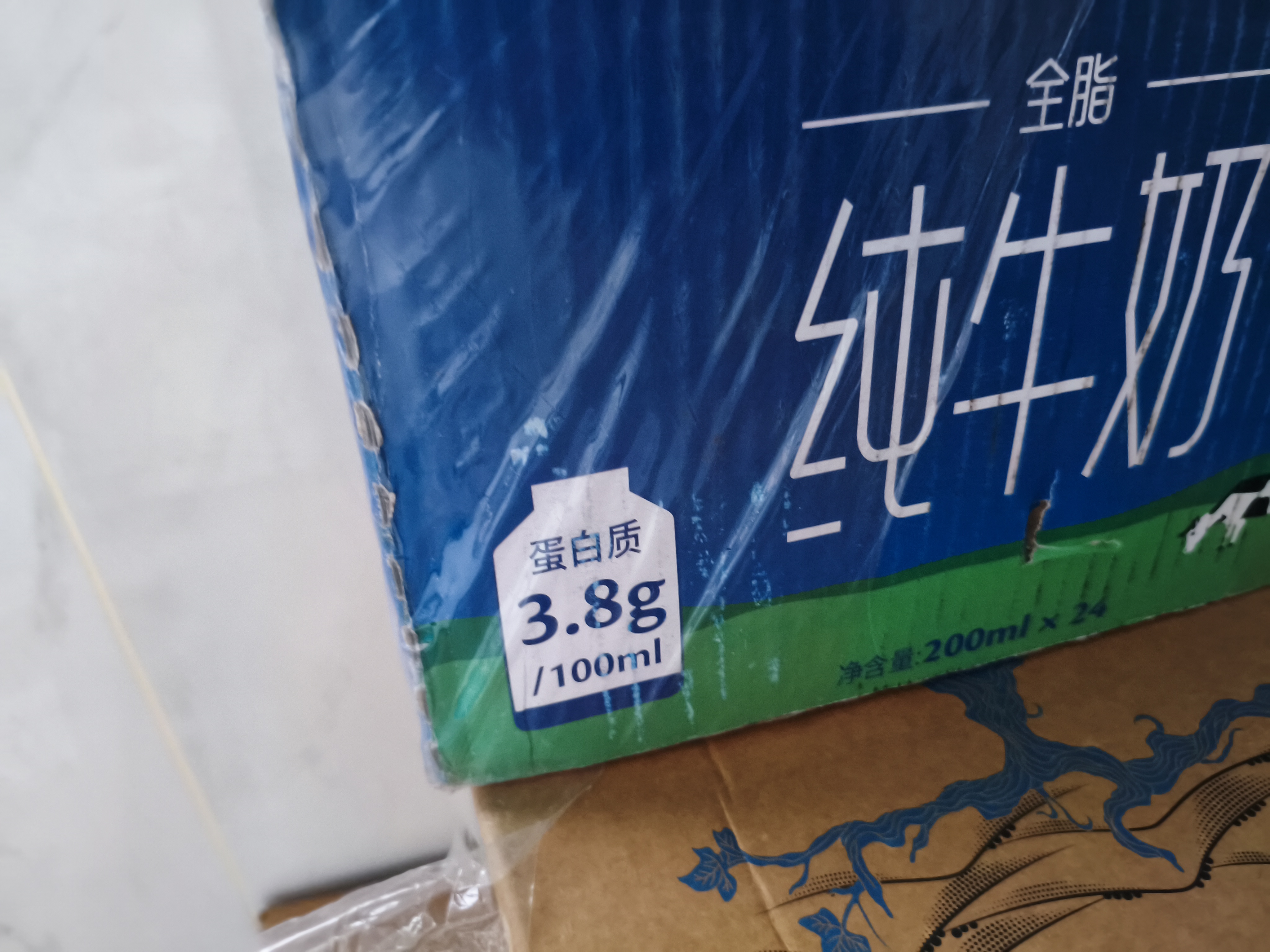 欧德堡（Oldenburger）3.8g优质蛋白 120mg高钙 全脂纯牛奶200ml*24盒 实拍图