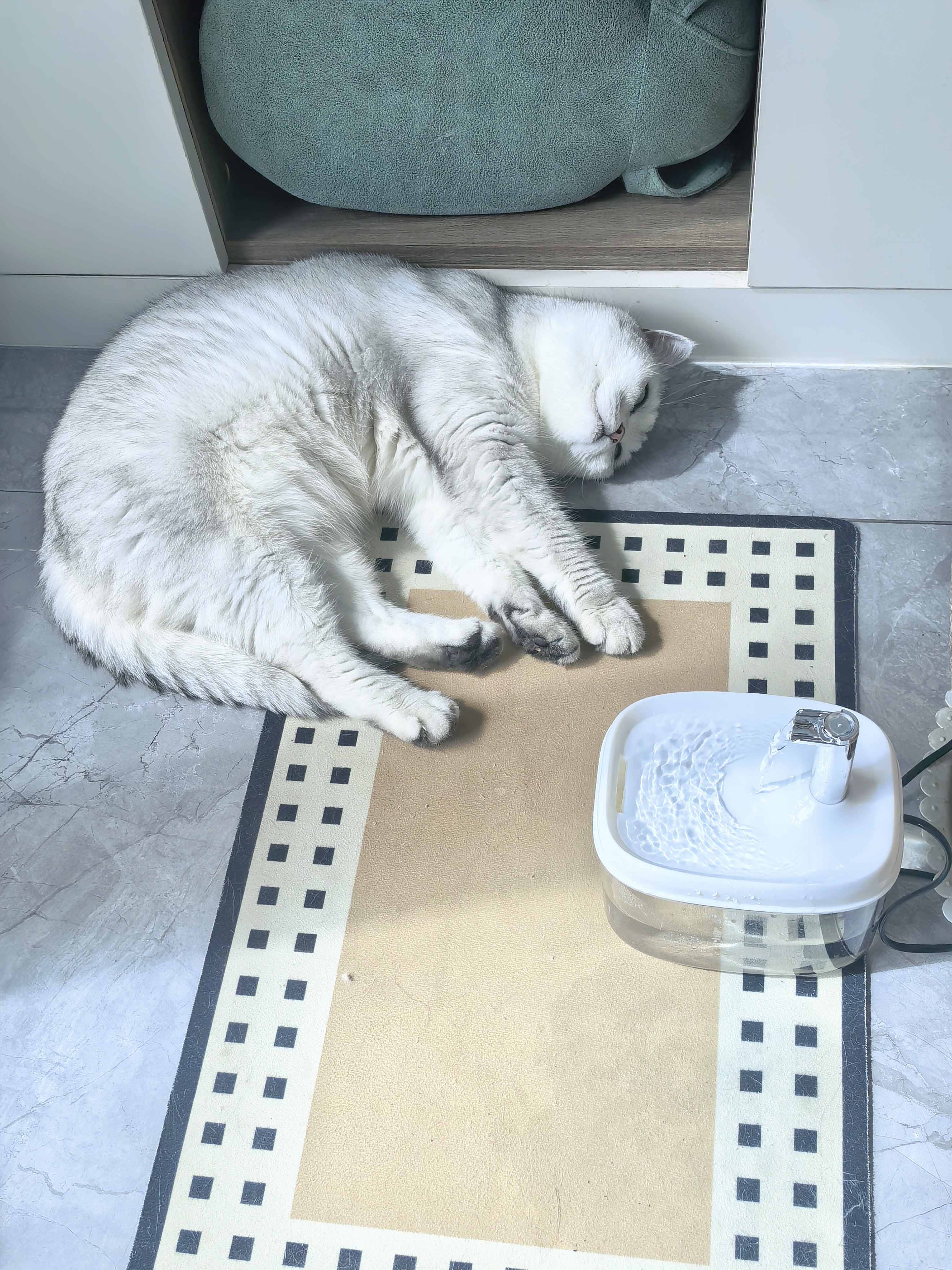 甜浪海猫咪饮水机自动循环喂水器猫喝水流动防干烧宠物饮水器自助喝水器 实拍图