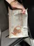 西贝莜面村金瓜红豆卷390g/8个儿童早餐食品半成品杂粮馒头花卷南瓜包子早饭 实拍图