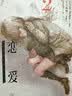 恋爱寄生虫漫画版1-3册 套装3册 三秋缒 恋爱寄生虫漫画网络校园青春文学三日间的幸福作者 实拍图