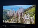 LG电视G6系列 48英寸OLED游戏电视 165Hz高刷 4K超高清专业电竞显示器 OLED48G6PCA 实拍图