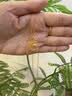 周大福星星揽月星月织梦黄金吊坠女约2.5g EOF1634生日礼物 实拍图