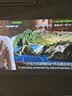 极米（XGIMI）Z6X 第五代 高亮版升级 700CVIA 轻薄智能家用投影仪办公会议无线投屏 1080P家庭影院 国家补贴 实拍图
