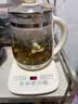 九阳（Joyoung）有钛0涂层养生壶迷你玻璃花茶壶煮茶器0胶水保温一体全自动恒温热水壶冲奶电热烧水壶1.5L 1566BQ 实拍图