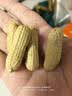 沙土东北四粒红花生原味500g/袋 坚果炒货京东自营休闲办公小零食 实拍图