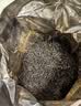 八马茶业武夷红茶 特级金骏眉花果蜜香250g金马罐装 送礼袋 实拍图