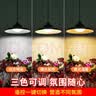 颖朗太阳能吊灯户外庭院子灯防水道路照明灯阳台凉亭挂灯天黑自动亮灯 实拍图