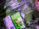 七鲜24小时菜心 300g 实拍图